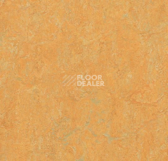 Линолеум Forbo Marmoleum Decibel on Order 384735 golden saffron фото 1 | FLOORDEALER